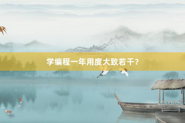 学编程一年用度大致若干?