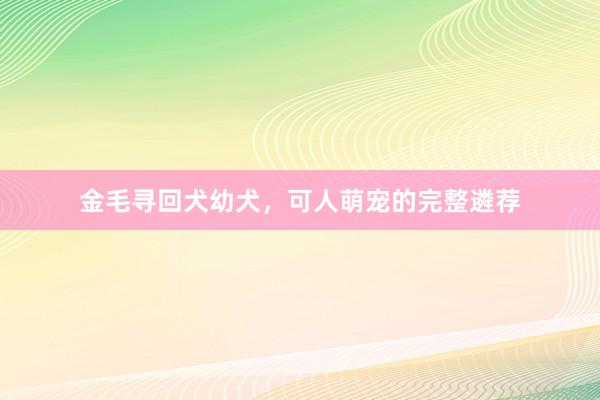 金毛寻回犬幼犬，可人萌宠的完整遴荐